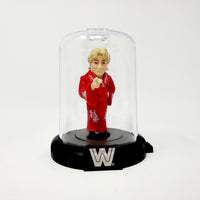 WWE Legends Domez *YOU CHOOSE* Collectible Miniatures Series 1